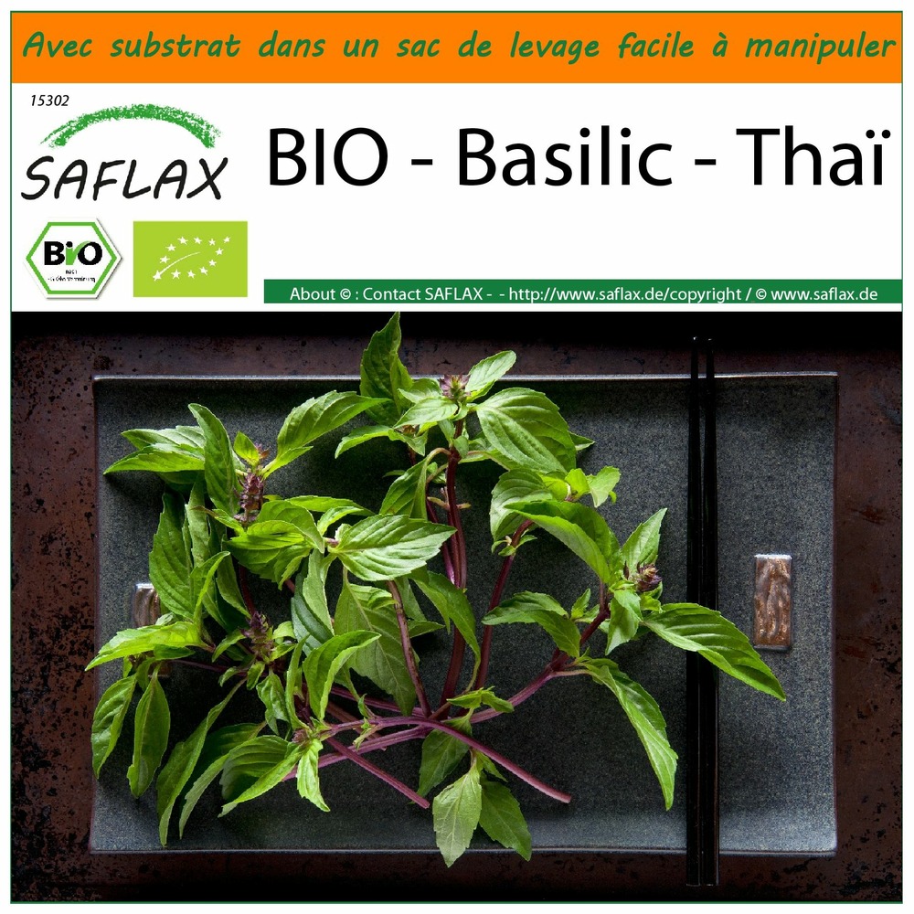 Jardin dans le sac - bio - basilic - thaï - 250 graines  - ocimum basilicum