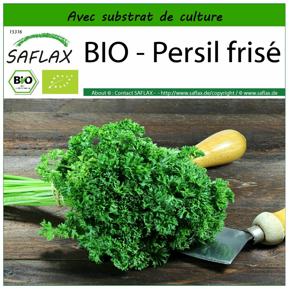 Bio - persil frisé - 800 graines - avec substrat - petroselinum crispum