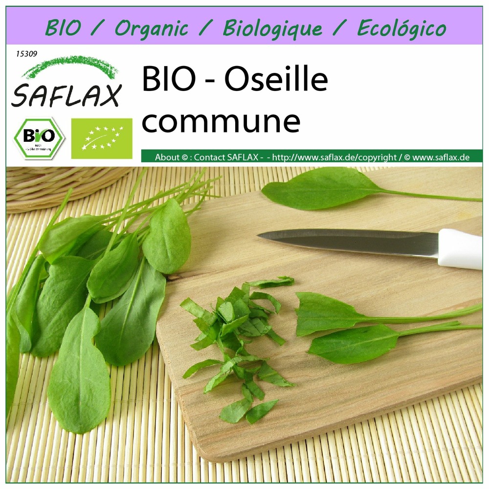 Bio - oseille commune - 400 graines - rumex acetosa