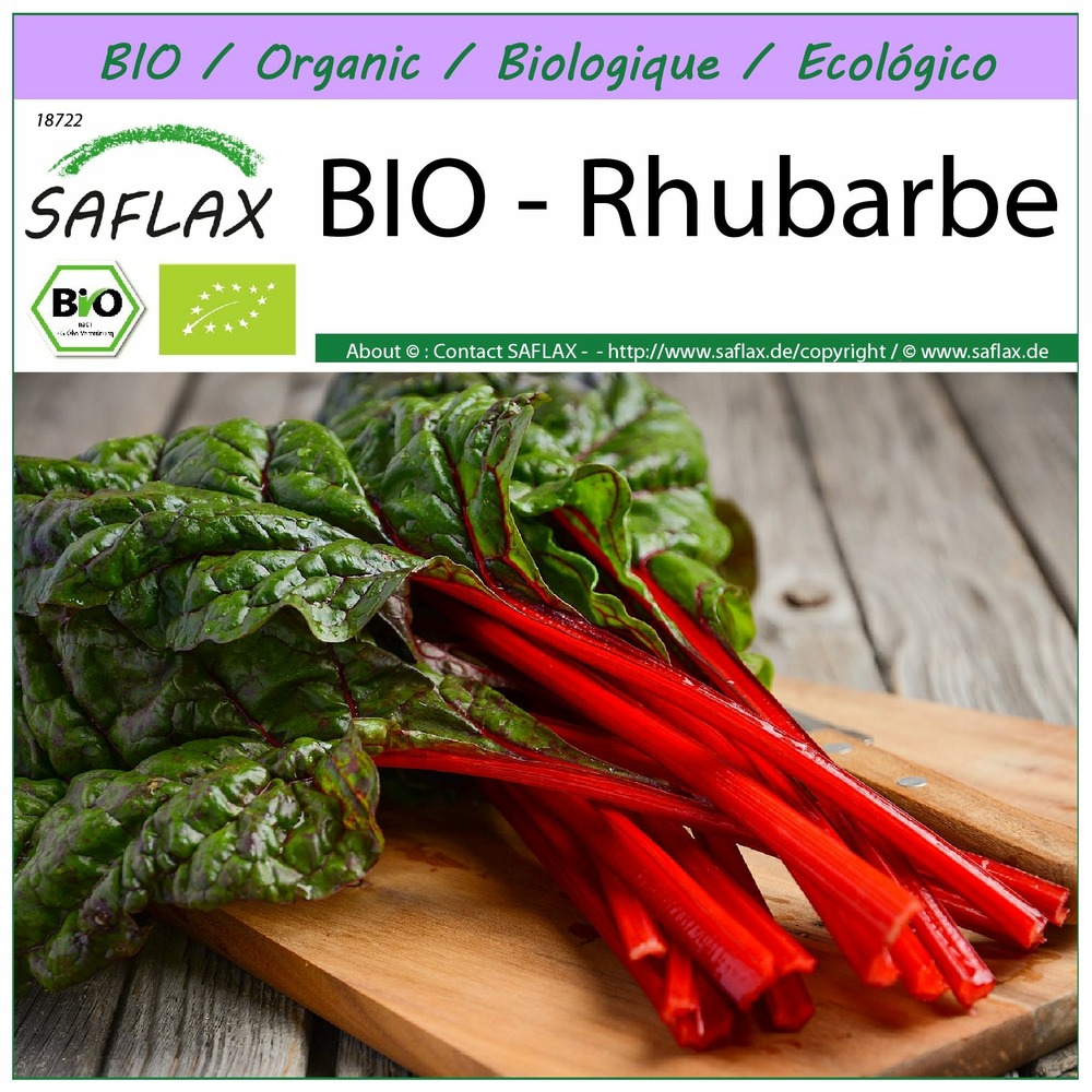 Bio - rhubarbe - 50 graines - beta vulgaris subsp. Vulgaris