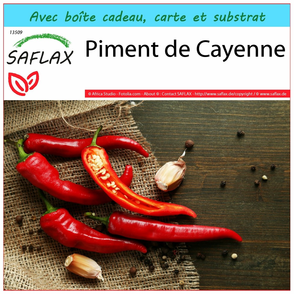 Ensemble-cadeau - piment de cayenne - 20 graines - capsicum annum