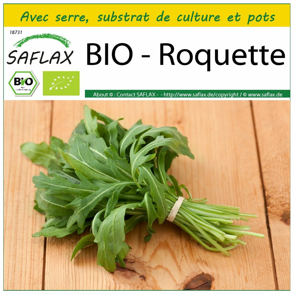 Ensemble de culture - bio - roquette - 3000 graines - eruca sativa