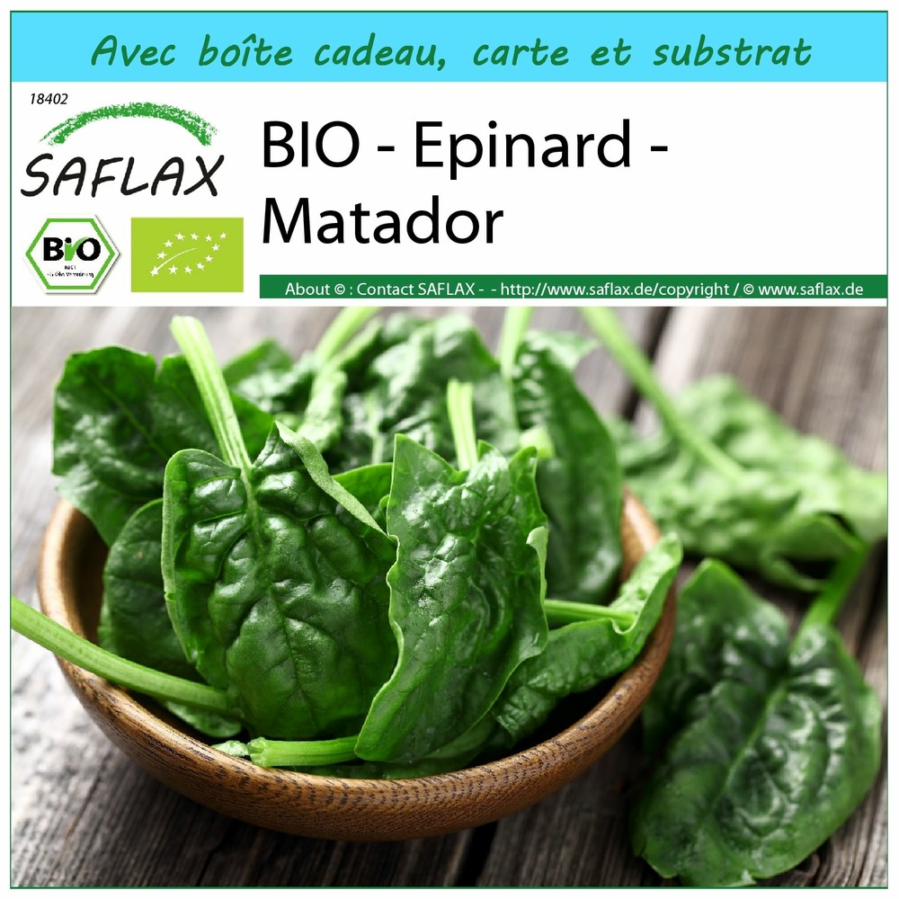 Ensemble-cadeau - bio - epinard - matador - 300 graines - spinacia oleracea