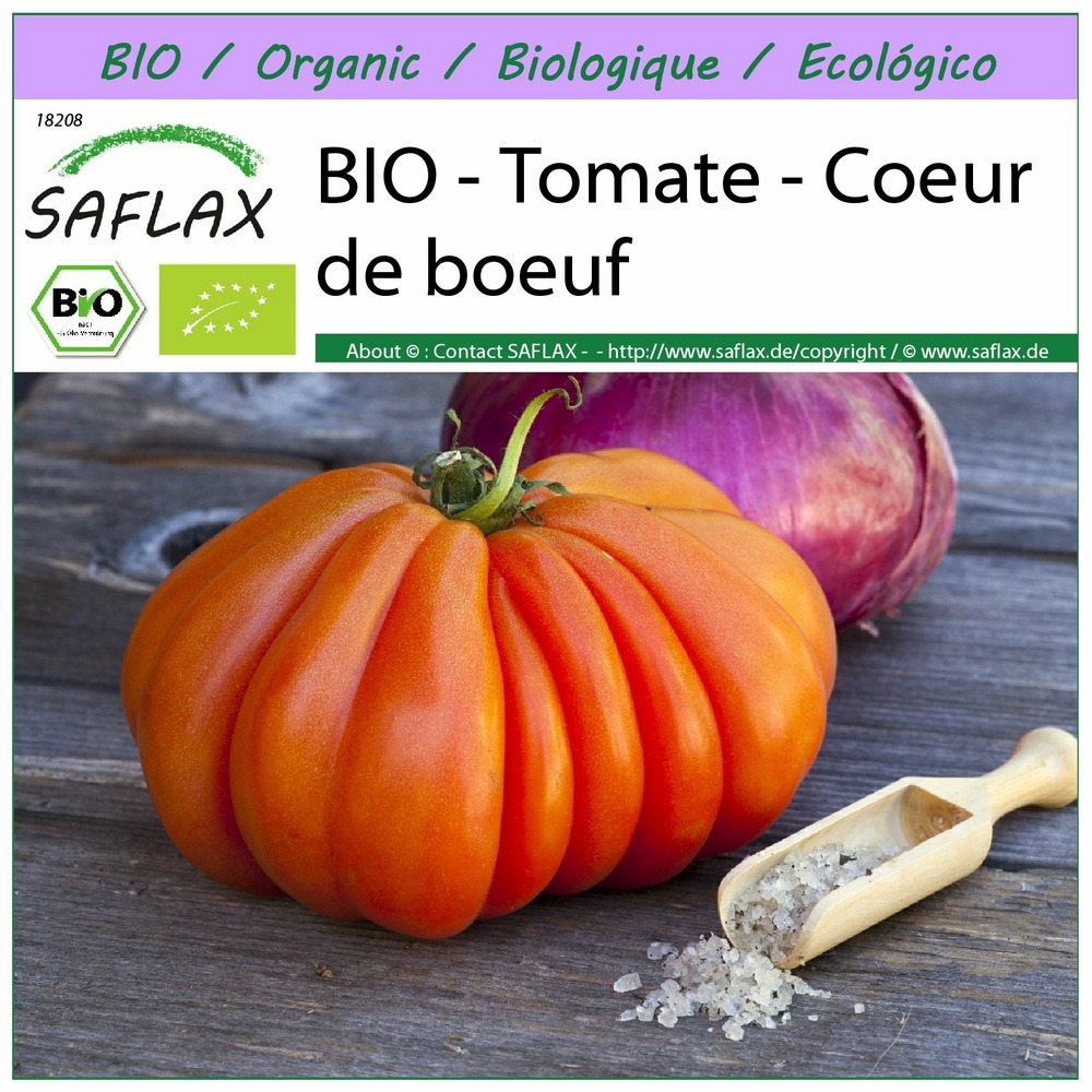 Bio - tomate - coeur de boeuf - 10 graines - solanum lycopersicum