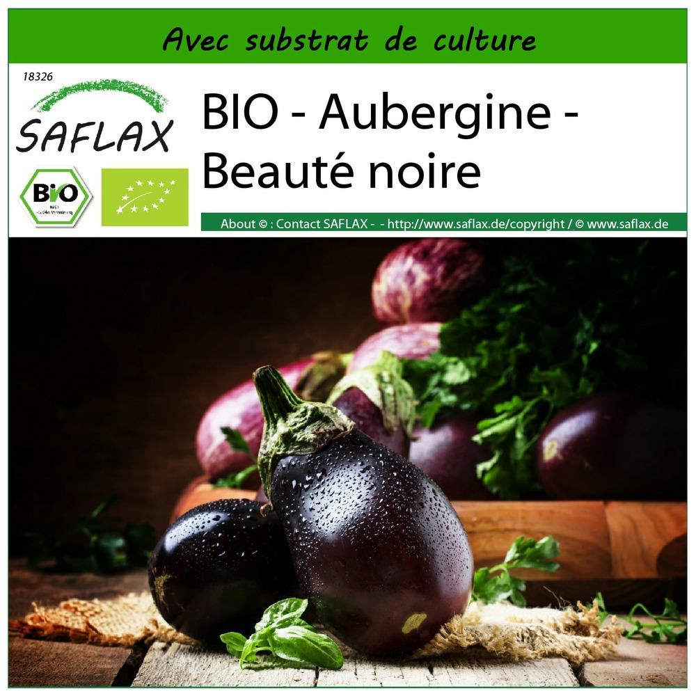 Bio - aubergine - beauté noire - 25 graines - avec substrat - solanum melongena