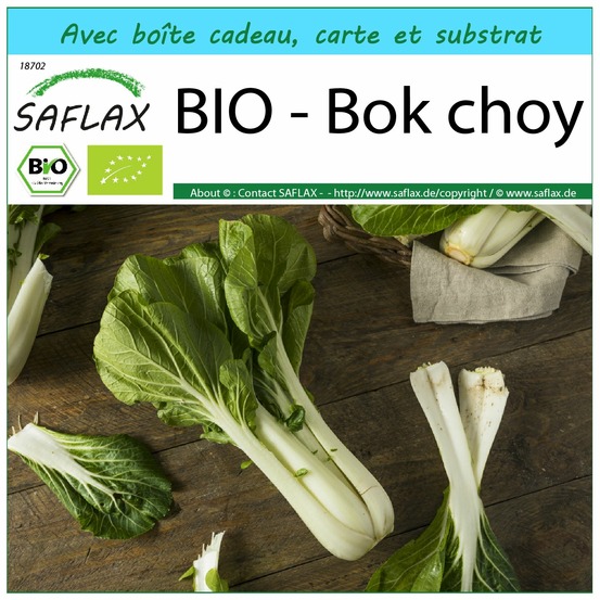 Ensemble-cadeau - bio - bok choy - 300 graines - brassica rapa supsp. Chinensis