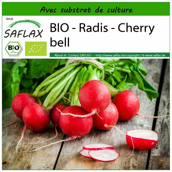 Bio - radis - cherry bell - 100 graines - avec substrat - raphanus sativus