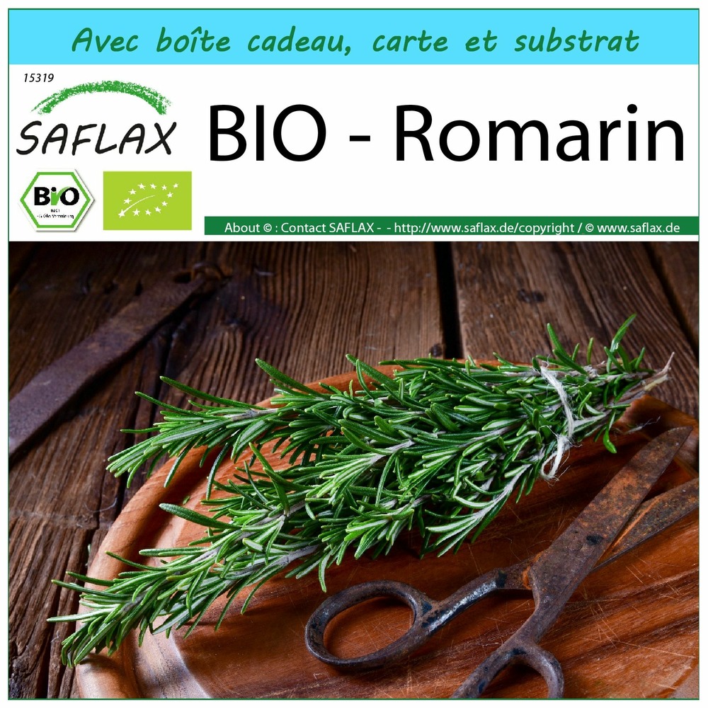 Kit cadeau - bio - romarin - 40 graines  - rosmarinus officinalis