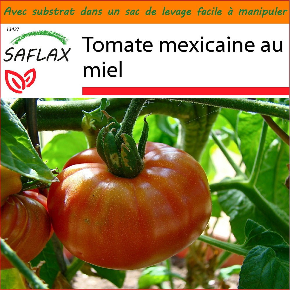 Jardin dans le sac - tomate mexicaine au miel - 10 graines  - lycopersicon esculentum
