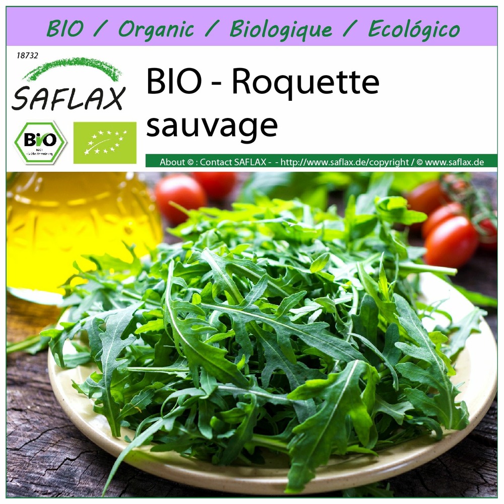 Bio - roquette sauvage - 1500 graines - diplotaxis tenuifolia