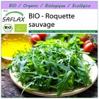 Bio - roquette sauvage - 1500 graines - diplotaxis tenuifolia