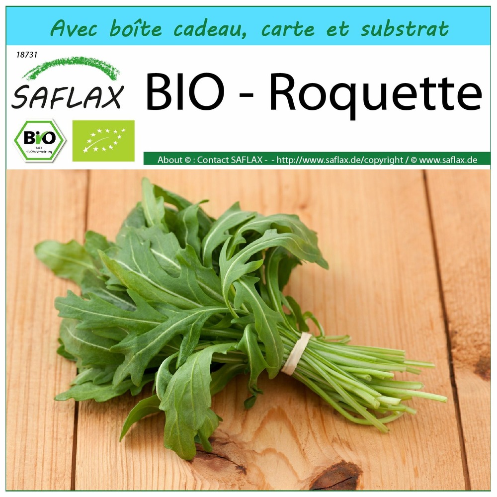 Ensemble-cadeau - bio - roquette - 3000 graines - eruca sativa