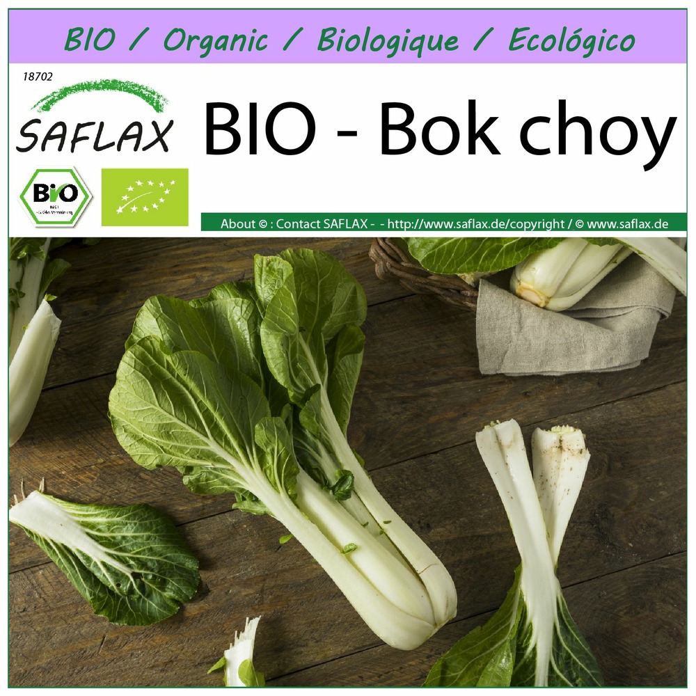 Bio - bok choy - 300 graines - brassica rapa supsp. Chinensis
