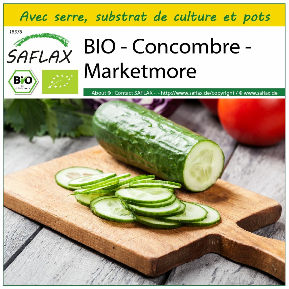 Ensemble de culture - bio - concombre - marketmore - 20 graines - cucumis sativus