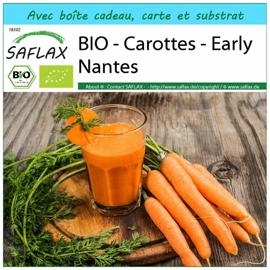 Ensemble-cadeau - bio - carottes - early nantes - 1500 graines - daucus carota subsp. Sativus