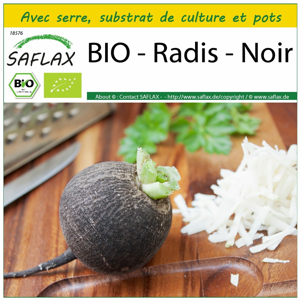 Ensemble de culture - bio - radis - noir - 100 graines - raphanus sativus