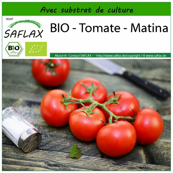 Bio - tomate - matina - 10 graines - avec substrat - solanum lycopersicum