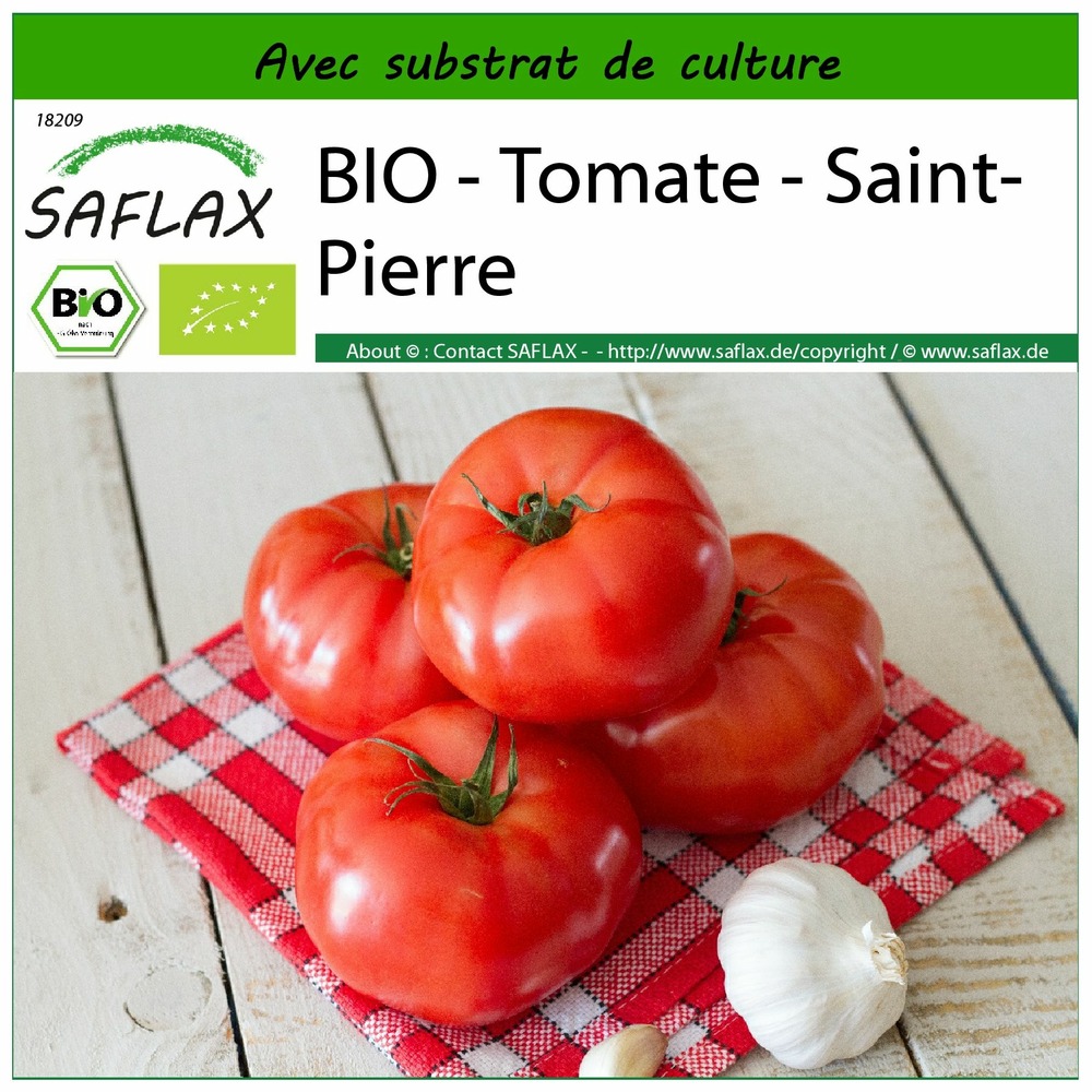 Bio - tomate - saint-pierre - 15 graines - avec substrat - solanum lycopersicum