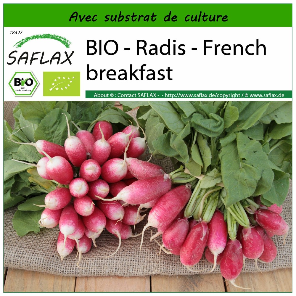Bio - radis - french breakfast - 150 graines - avec substrat - raphanus sativus