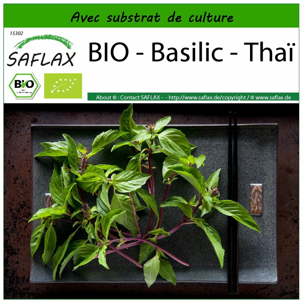 Bio - basilic - thaï - 250 graines - avec substrat - ocimum basilicum