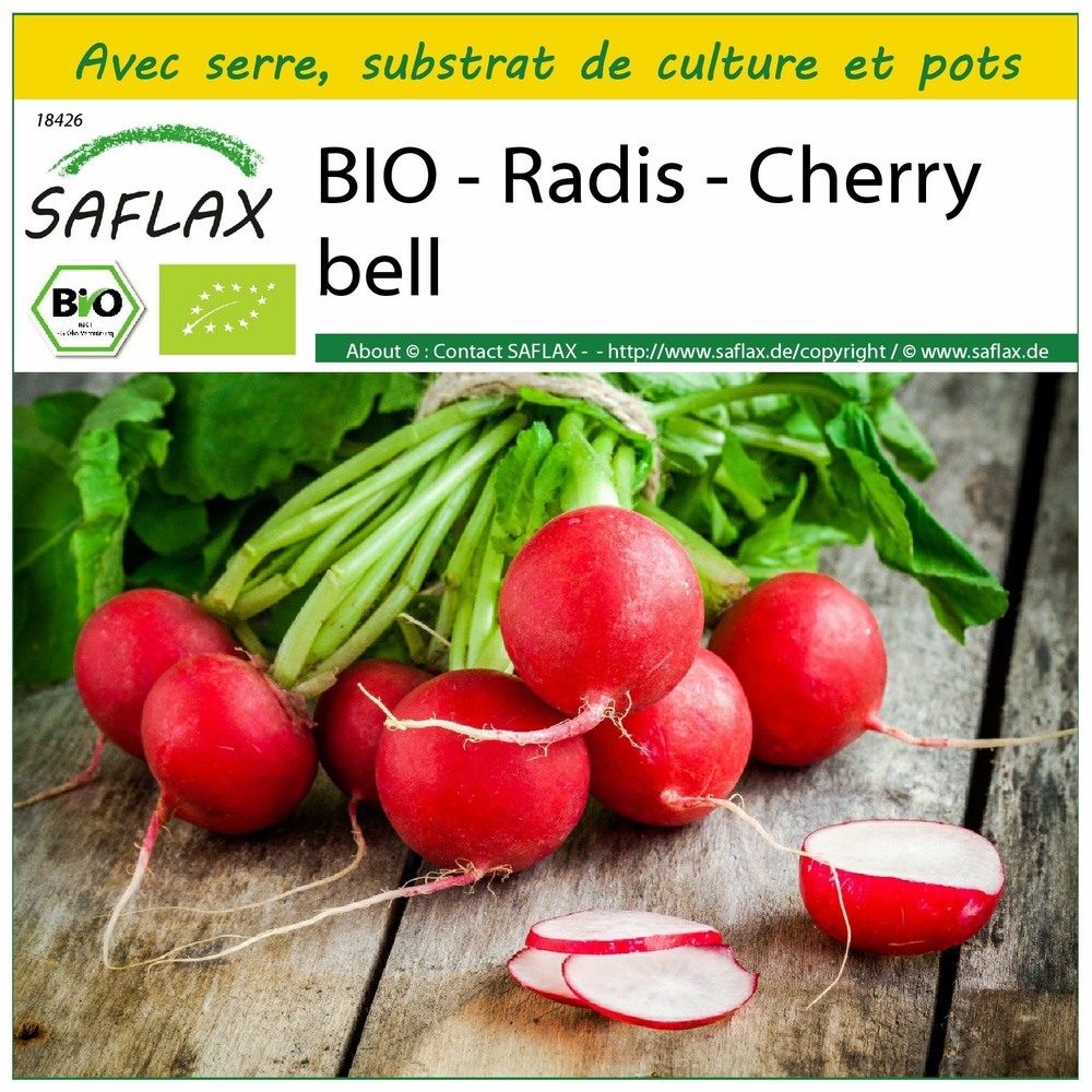 Ensemble de culture - bio - radis - cherry bell - 100 graines - raphanus sativus