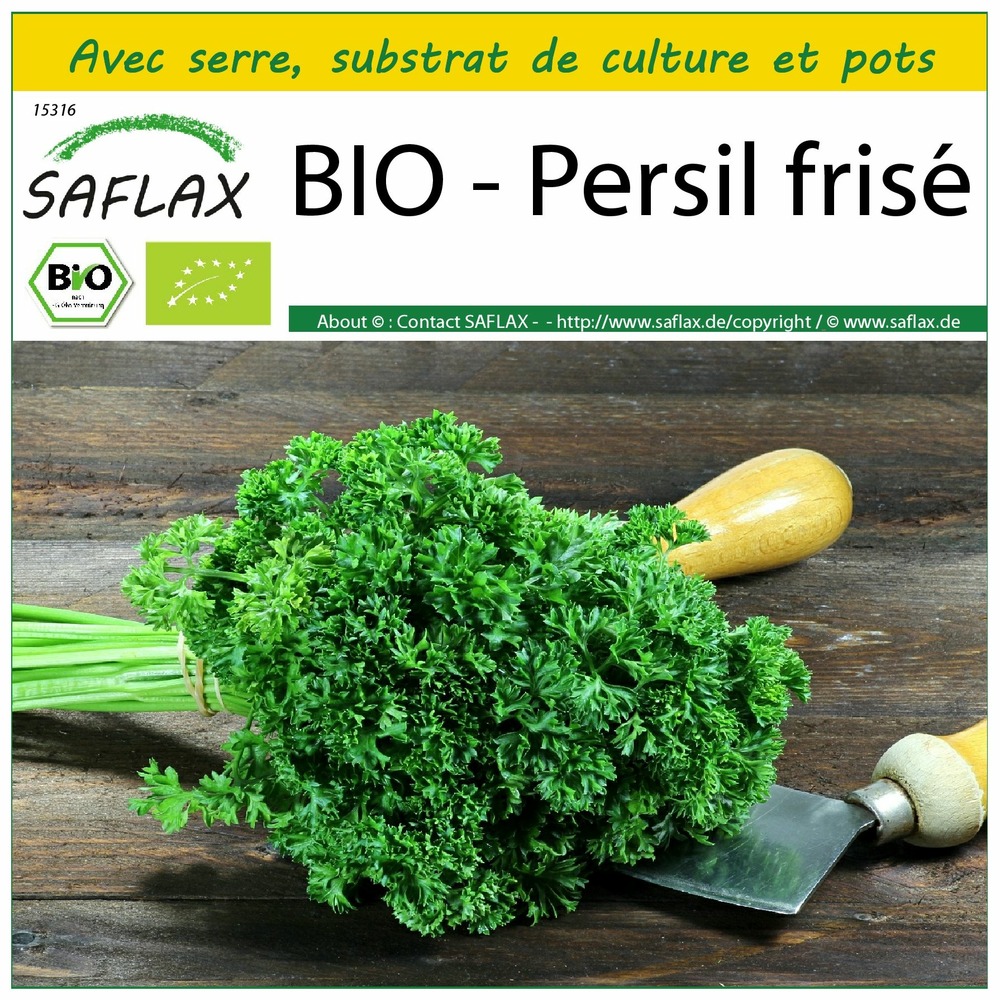 Ensemble de culture - bio - persil frisé - 800 graines - petroselinum crispum