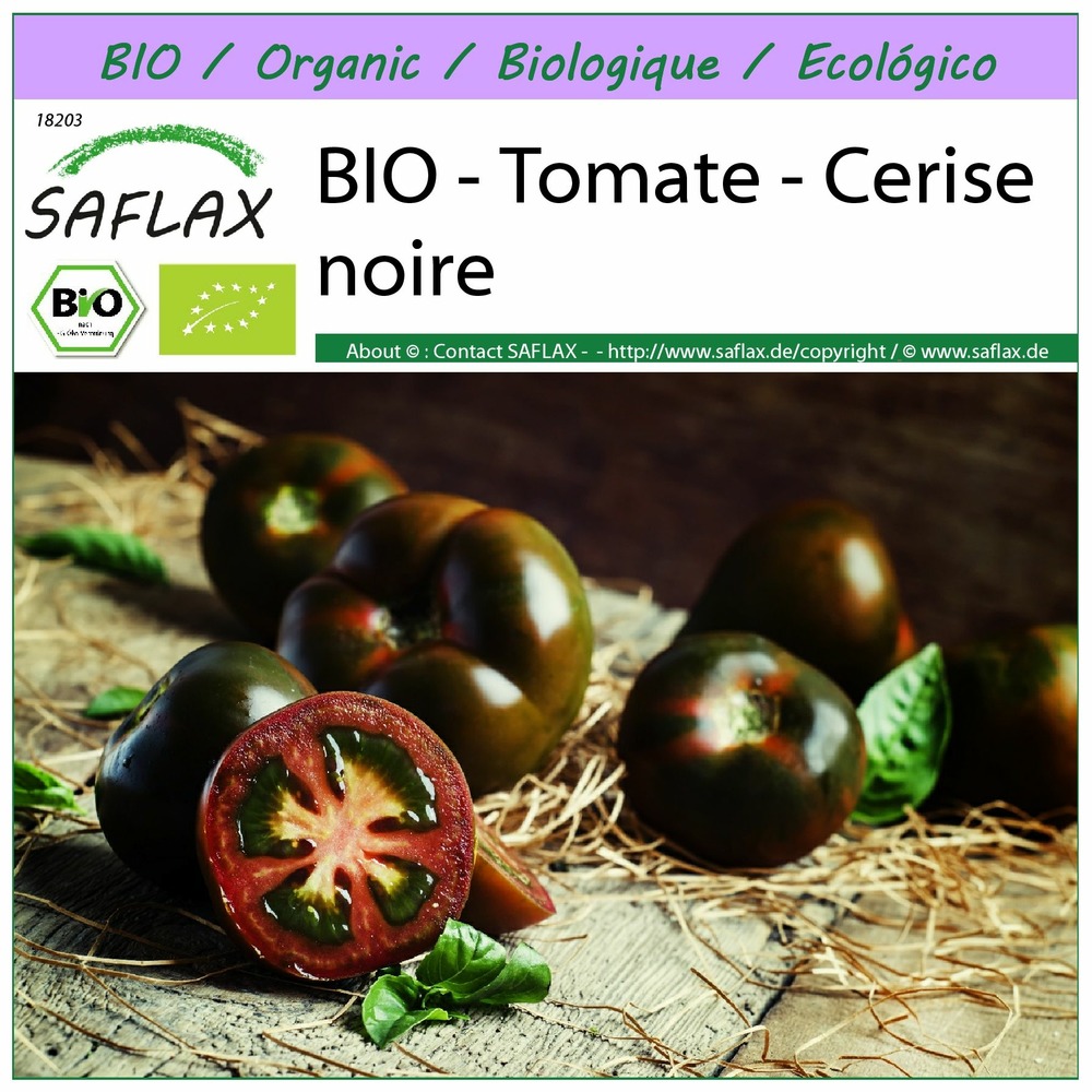 Bio - tomate - cerise noire - 10 graines - solanum lycopersicum