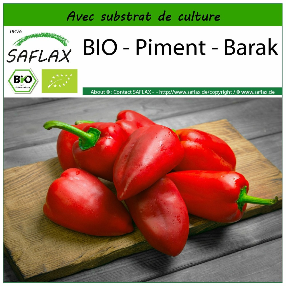 Bio - piment - barak - 15 graines - avec substrat - capsicum annuum