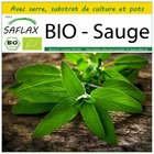 Kit de culture - bio - sauge - 60 graines  - salvia officinalis