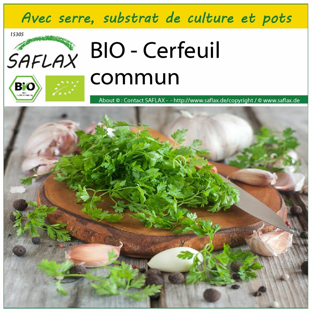 Ensemble de culture - bio - cerfeuil commun - 800 graines - anthriscus cerefolium