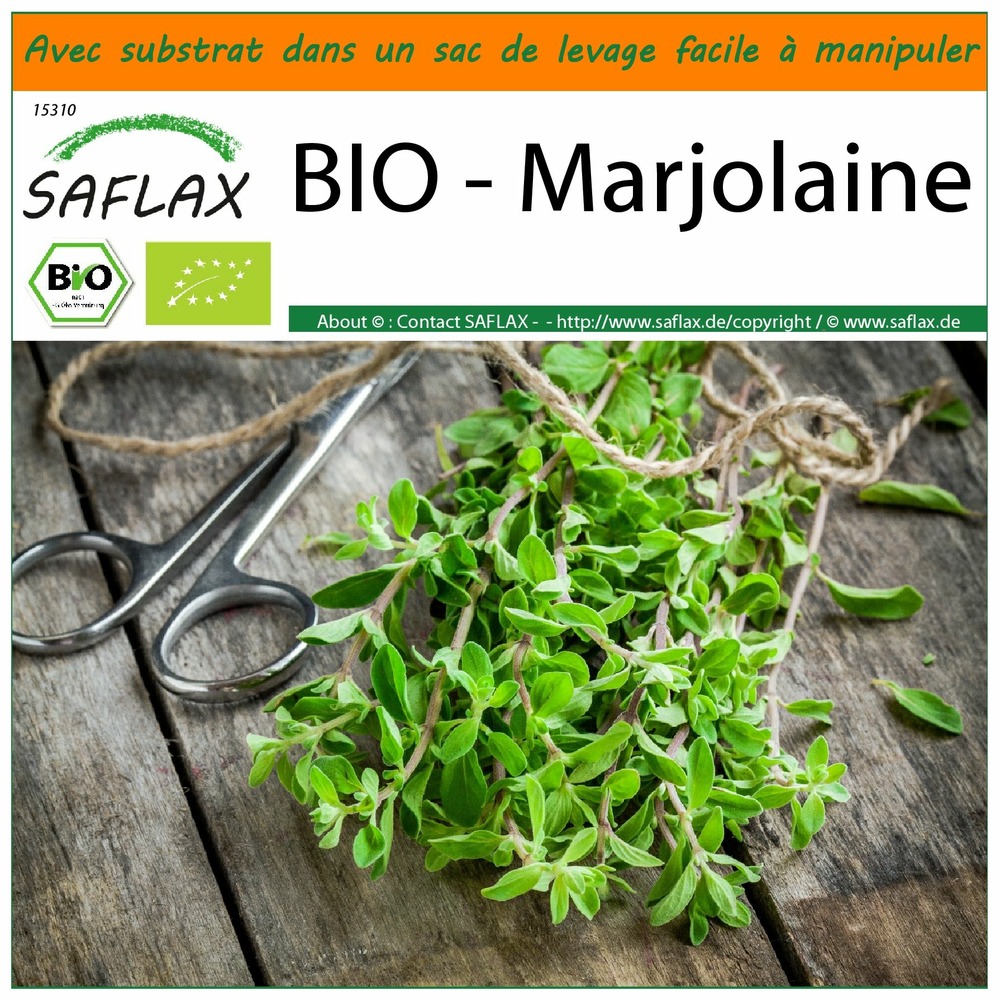 Jardin dans le sac - bio - marjolaine - 700 graines  - origanum majorana