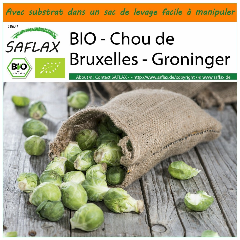 Jardin dans le sac - bio - chou de bruxelles - groninger - 30 graines  - brassica oleracea var. Gemmifera