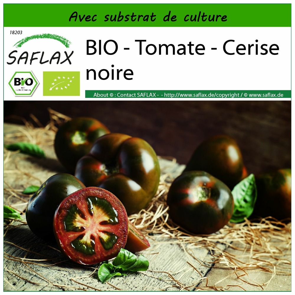 Bio - tomate - cerise noire - 10 graines - avec substrat - solanum lycopersicum