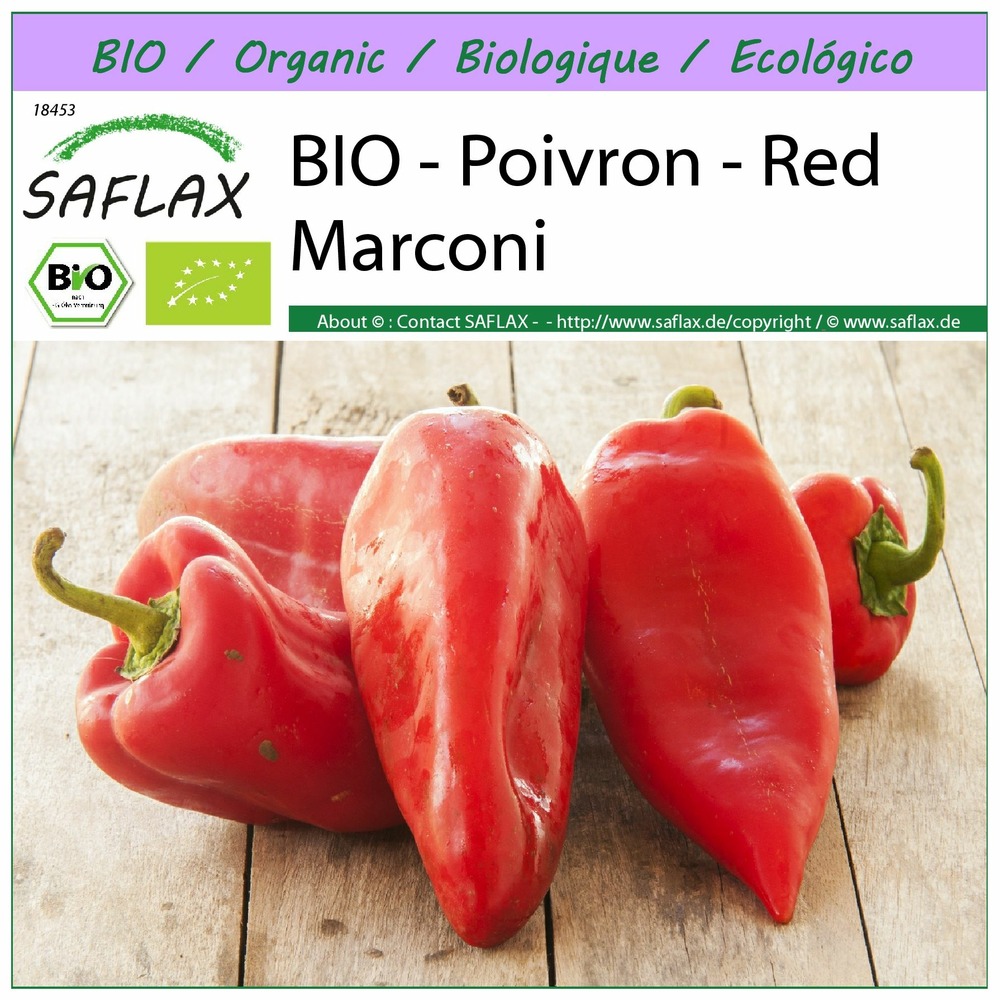 Bio - poivron - red marconi - 20 graines - capsicum annuum