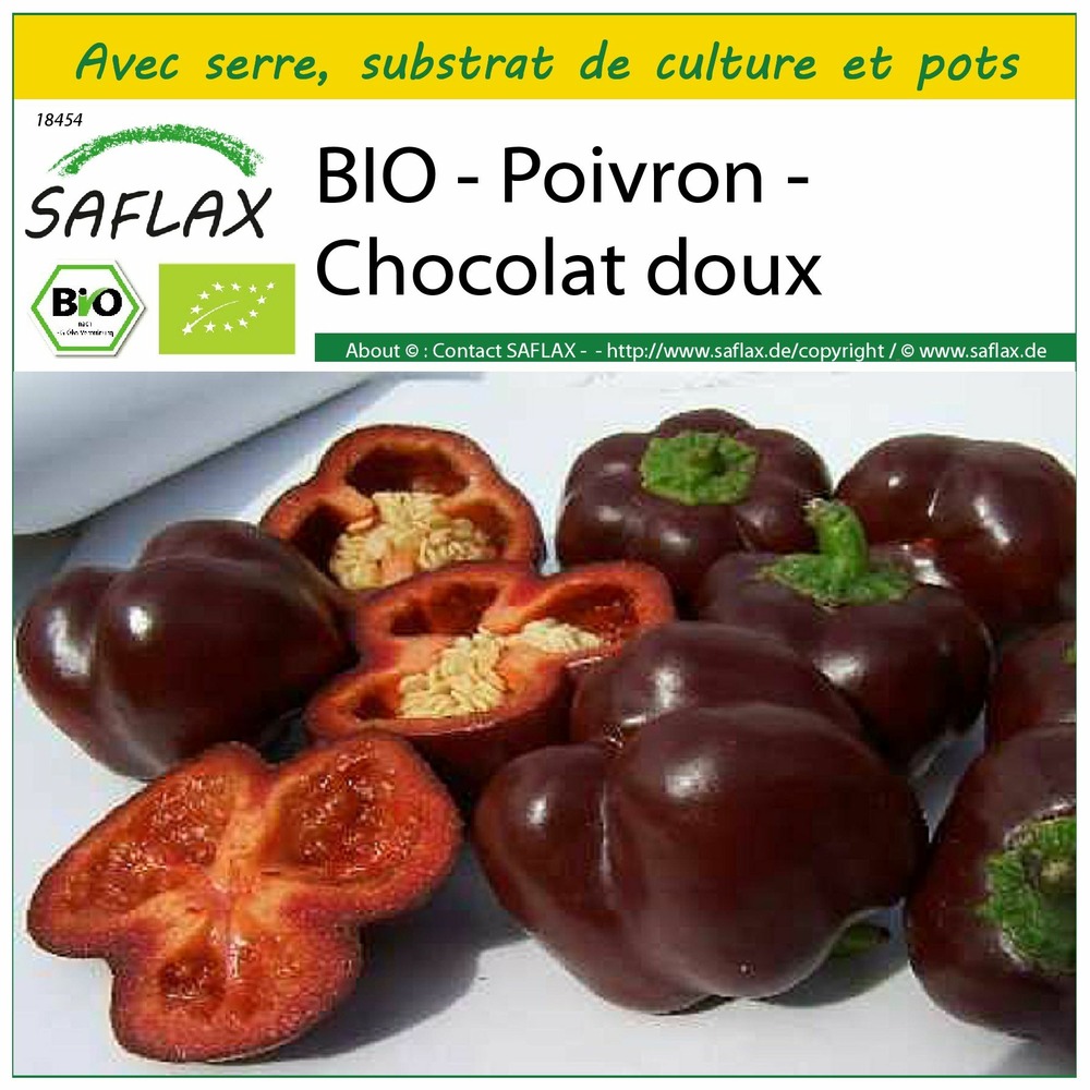 Ensemble de culture - bio - poivron - chocolat doux - 10 graines - capsicum annuum