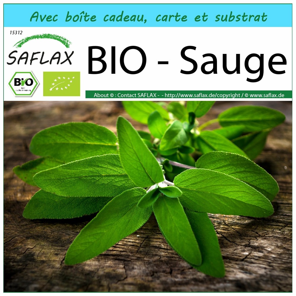 Kit cadeau - bio - sauge - 60 graines  - salvia officinalis