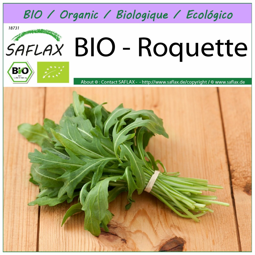 Bio - roquette - 3000 graines - eruca sativa