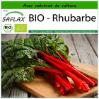 Bio - rhubarbe - 50 graines - avec substrat - beta vulgaris subsp. Vulgaris