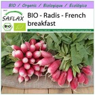 Bio - radis - french breakfast - 150 graines - raphanus sativus