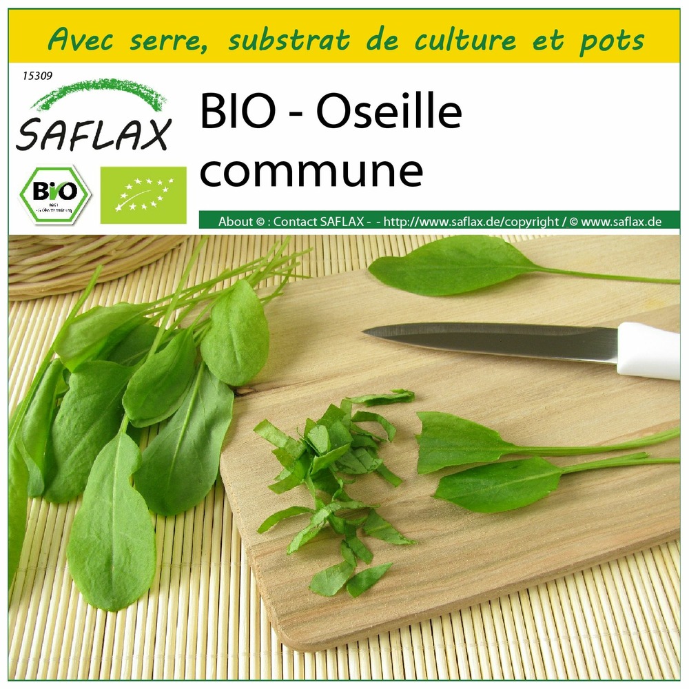 Ensemble de culture - bio - oseille commune - 400 graines - rumex acetosa