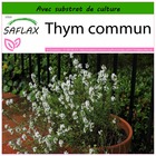 Thym commun - 200 graines - avec substrat - thymus vulgaris