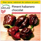 Kit de culture - piment habanero chocolat - 10 graines  - capsicum chinense