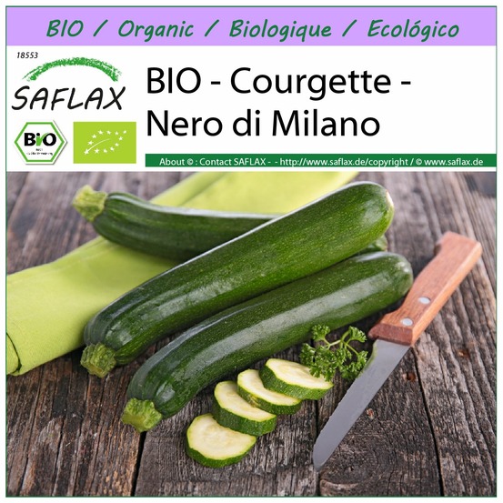 Bio - courgette - nero di milano - 6 graines - cucurbita pepo