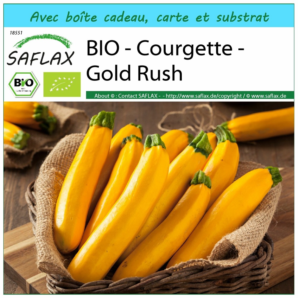 Ensemble-cadeau - bio - courgette - gold rush - 5 graines - cucurbita pepo var. Cylindrica