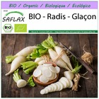 Bio - radis - glaçon - 100 graines - raphanus sativus