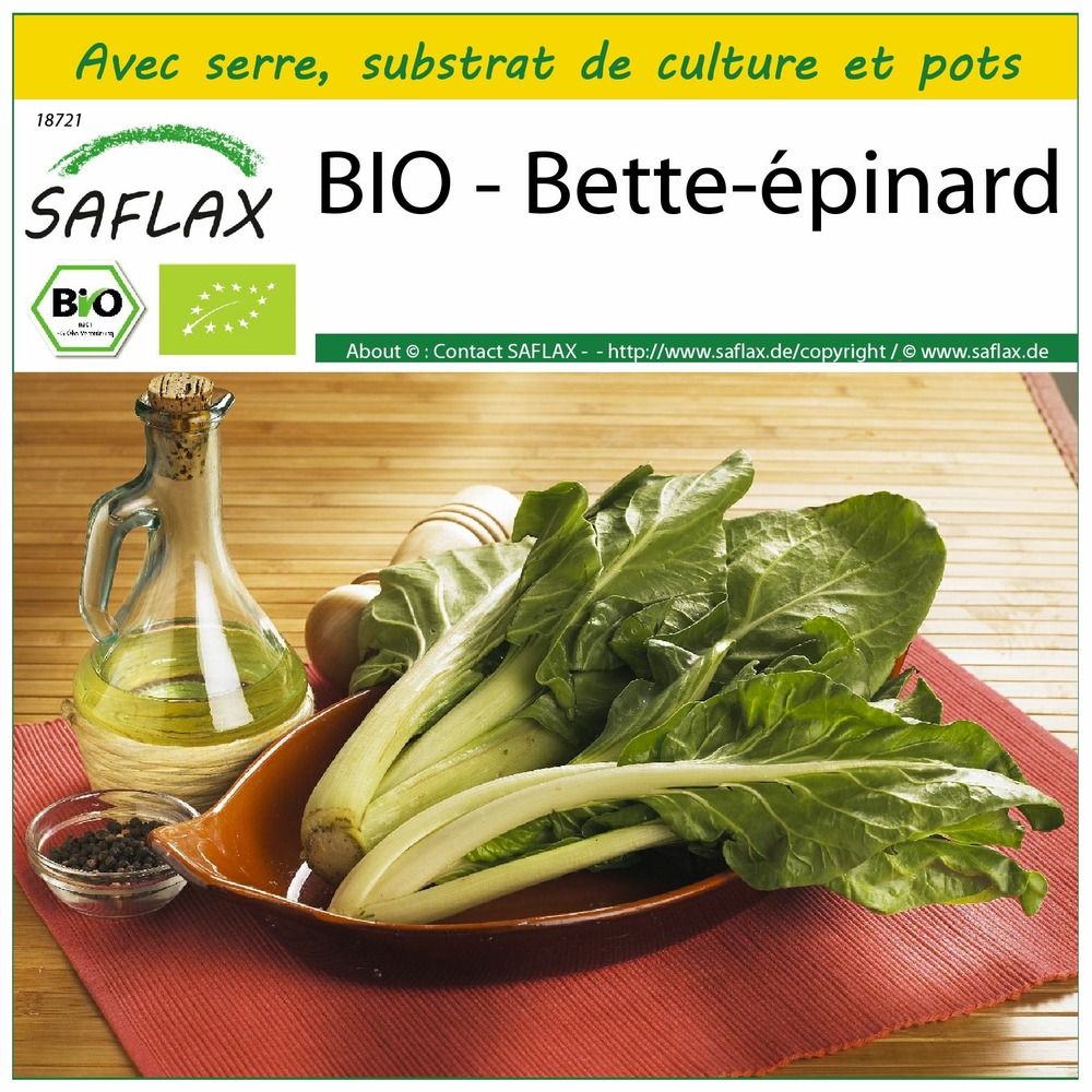 Ensemble de culture - bio - bette-épinard - 150 graines - beta vulgaris subsp. Vulgaris