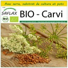 Kit de culture - bio - carvi - 800 graines  - carum carvi