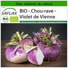 Bio - chou-rave - violet de vienne - 600 graines - avec substrat - brassica rapa