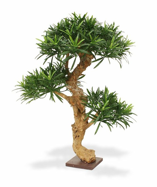 Podocarpus bonsai x3 artificiel de 65cm en base