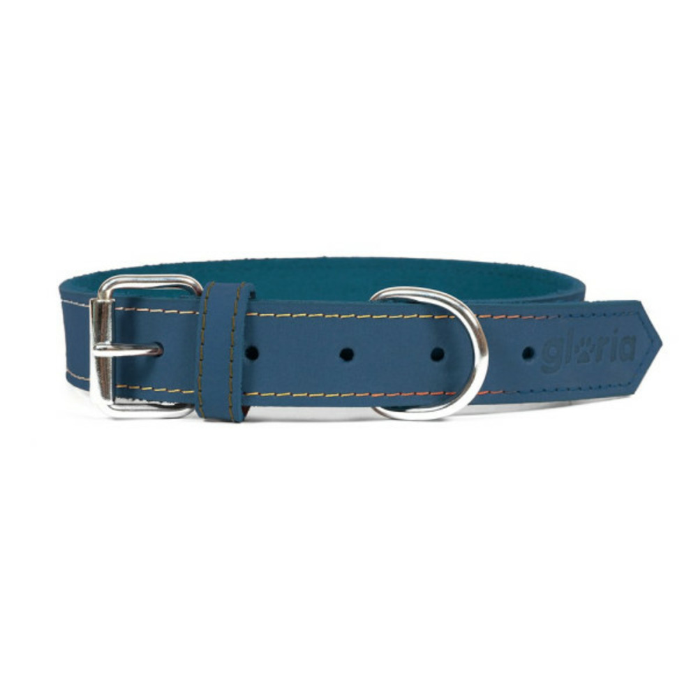 Collier pour chien oasis bleu (NULL,5 x 40 cm)
